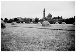 Bestand:Hooiopperswaalwijk,waa13784.jpeg