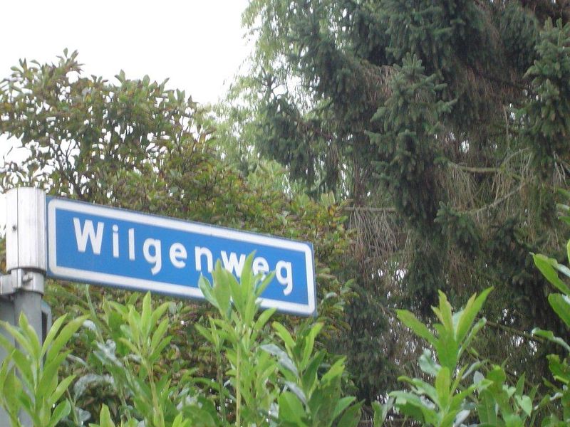 Bestand:Wilgenweg.jpg